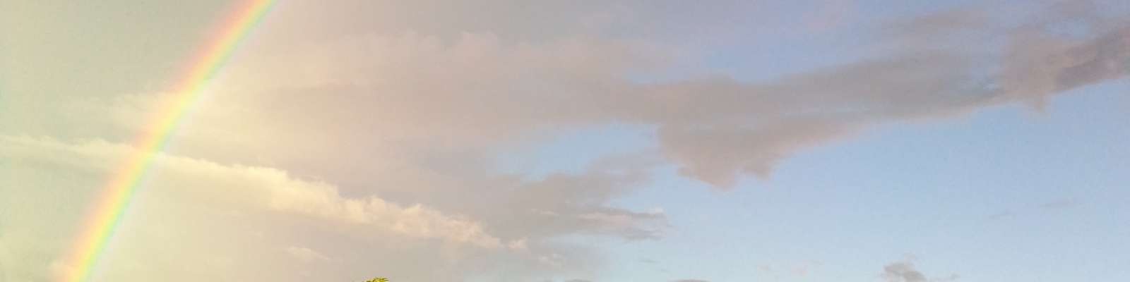 User Cover